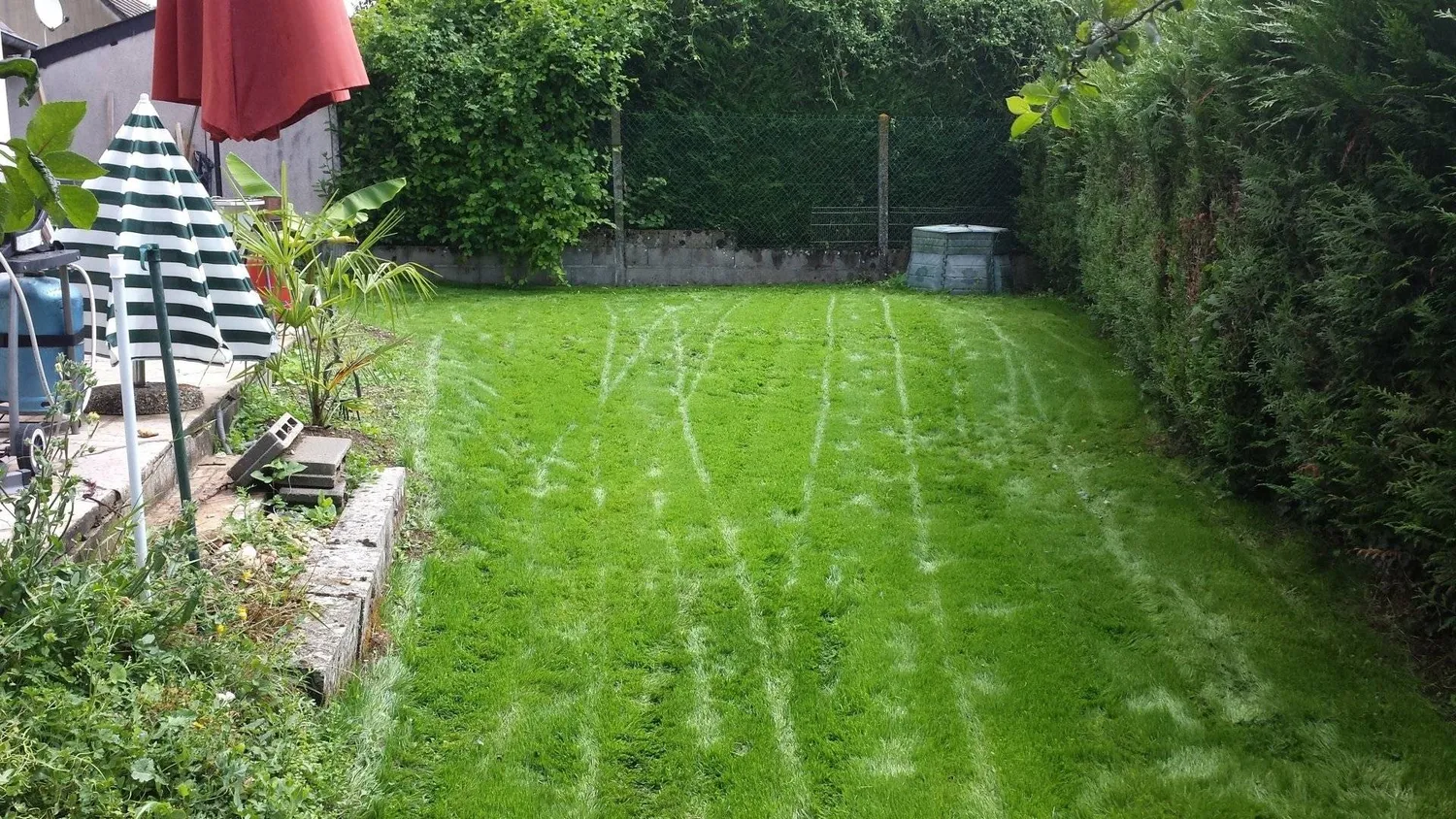 demoussage de toiture beaugency