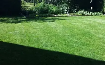 démoussage de toiture Beaugency-5