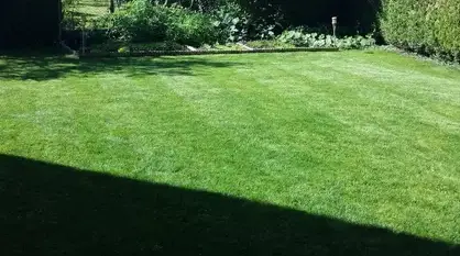 démoussage de toiture à Blois - image 2