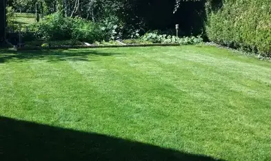 démoussage de toiture à Château-Renault - image 2