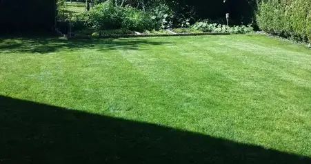 démoussage de toiture à Châtellerault - image 3