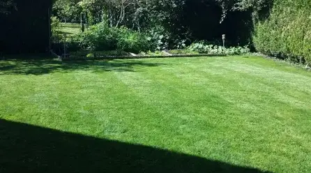 démoussage de toiture à La Chaussée-Saint-Victor - image 3