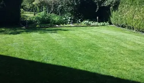 démoussage de toiture à Le Controis-en-Sologne - image 2