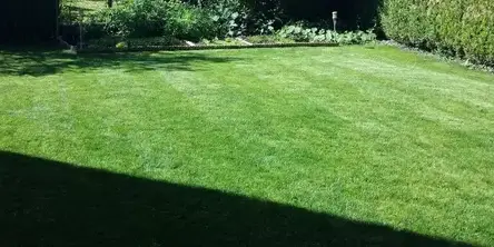 démoussage de toiture à Saint-Lubin-en-Vergonnois - image 4