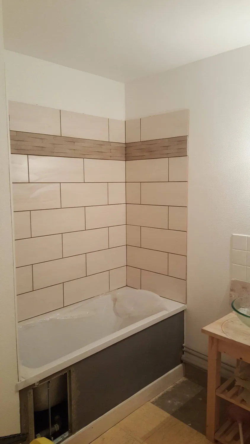 demoussage de toiture vendome