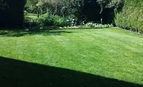 entretien d'espaces verts à Beaugency - image 3