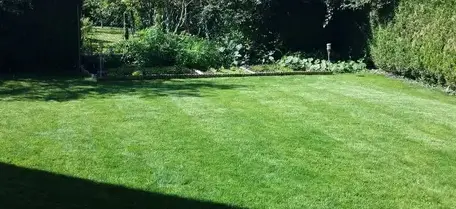 entretien d'espaces verts à Châtellerault - image 4