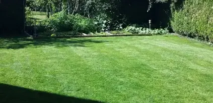 entretien d'espaces verts Le Controis-en-Sologne-1