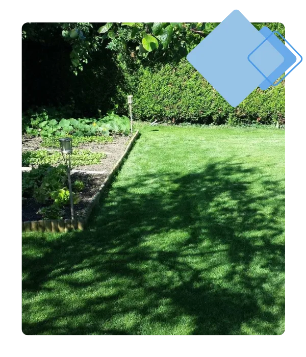 entretien d espaces verts le controis en sologne