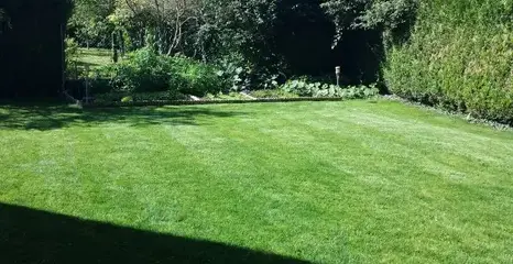 entretien d'espaces verts Saint-Lubin-en-Vergonnois-5