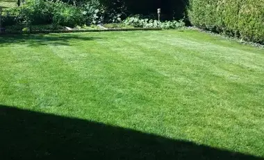 entretien d'espaces verts à Vendôme - image 4