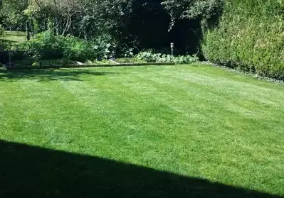 jardinier à Beaugency - image 2