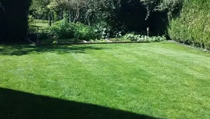 jardinier à Blois - image 2