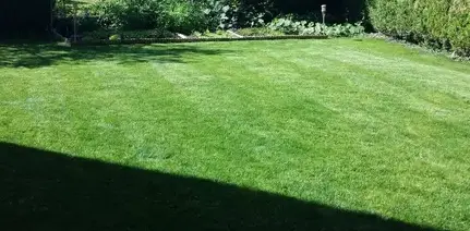 jardinier à Château-Renault - image 2