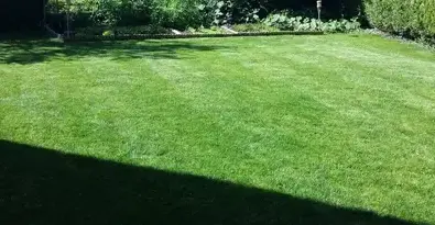 jardinier à Saint-Lubin-en-Vergonnois - image 2