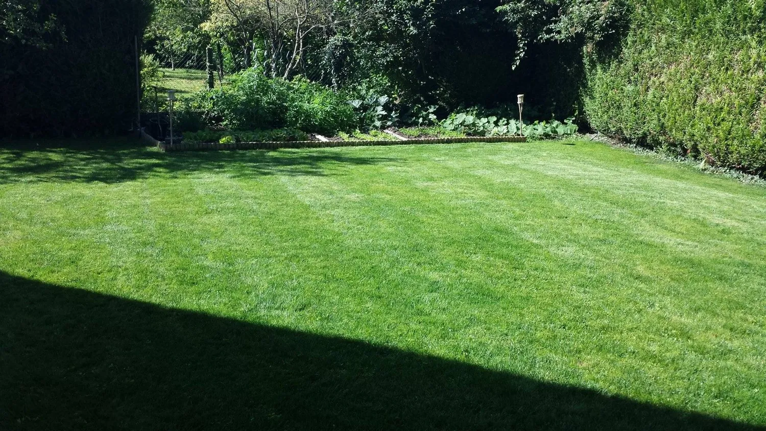 reparation portail electrique blois