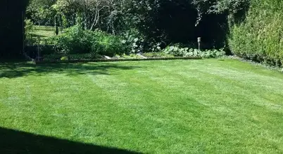 réparation portail électrique Châtellerault-5