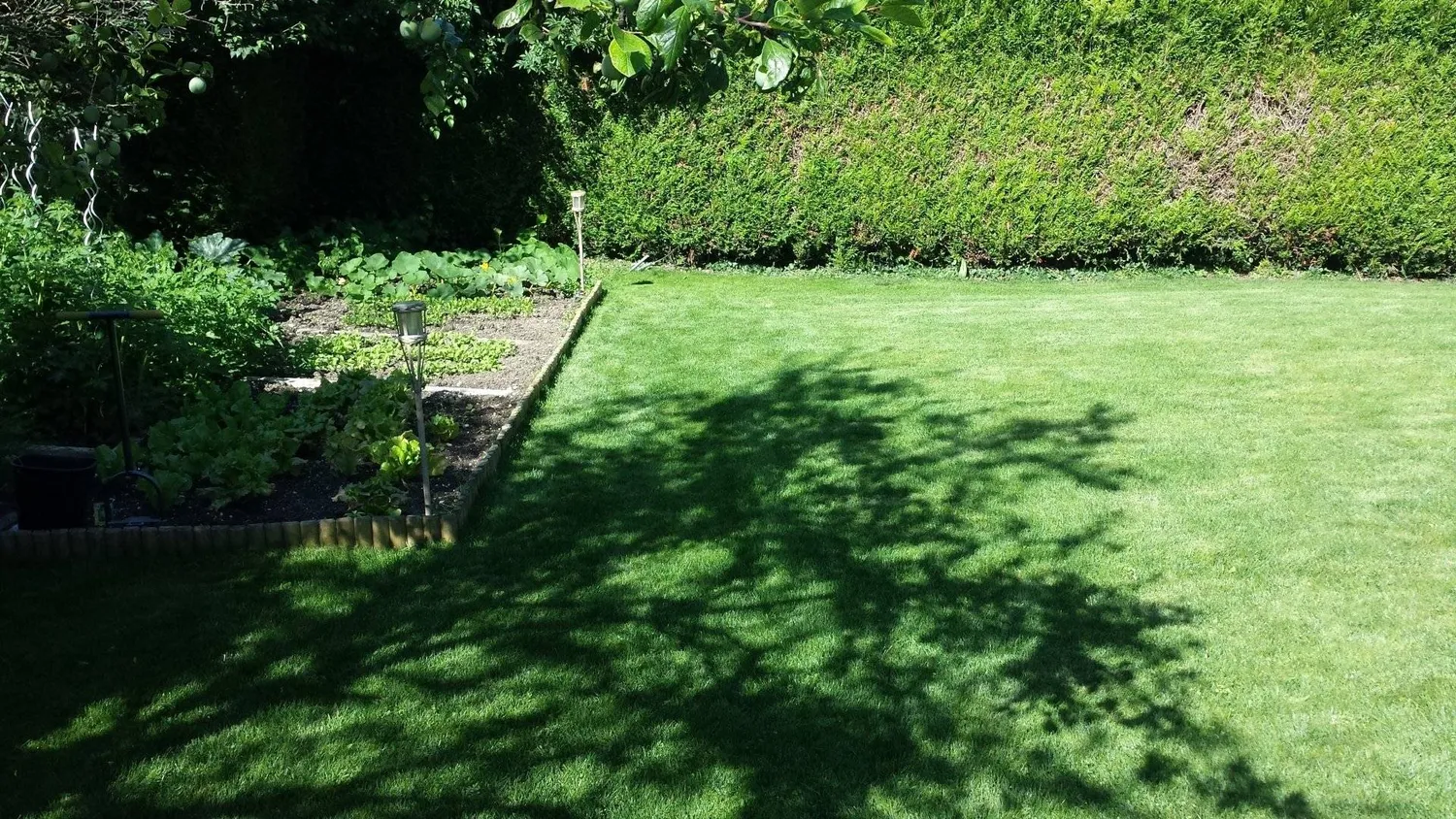 reparation portail electrique chatellerault