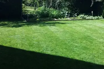 réparation portail électrique La Chaussée-Saint-Victor-5