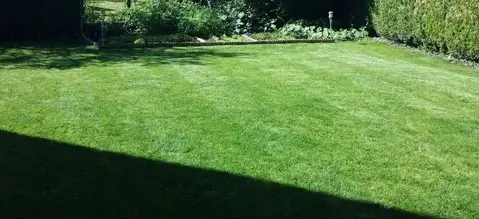 réparation portail électrique à Saint-Lubin-en-Vergonnois - image 3