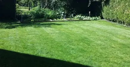 tapissier à Châtellerault - image 4