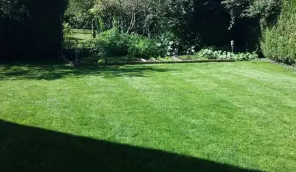 tapissier Le Controis-en-Sologne-5