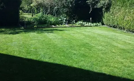 tapissier Saint-Lubin-en-Vergonnois-1