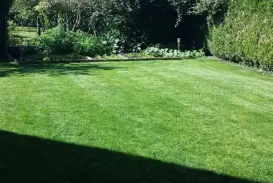 vitrier à Château-Renault - image 2