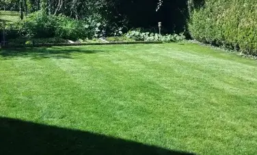 vitrier Châtellerault-5