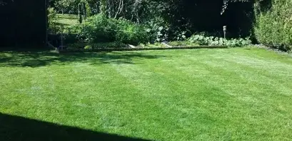 vitrier Le Controis-en-Sologne-1