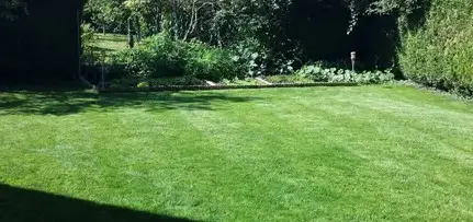 vitrier Saint-Lubin-en-Vergonnois-1