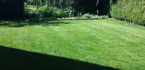 vitrier à Vendôme - image 2